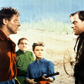 Vallée de la vengeance (La) - Burt Lancaster - Joanne Dru - John Ireland