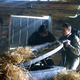 Stargate Atlantis - Apparences - Joe Flanigan - David Hewlett