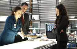 Bones - L' océan de la vie - Emilie Deschanel - Rena Sofer