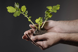 Ecologie