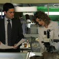 Experts (Les) - Manhattan - Soeurs de sang - Danny Pino - Melina Kanakaredes