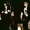 Film : Les Blues Brothers