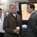 N.C.I.S - Ces liens qui nous unissent... - Cote De Pablo - Mark Harmon - Sean Murray