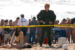 Experts (Les) - Miami - Le grain de sable - Khandi Alexander - David Caruso