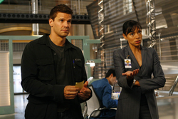 Bones - ILLUMINATI - David BOREANAZ;Tamara TAYLOR