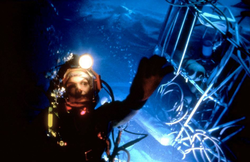 Abyss • M.E.Mastrantonio