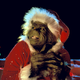 Grinch (Le) - Jim Carrey