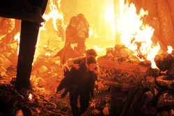 REGNE DU FEU (le)