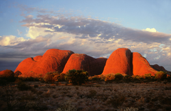 Désert  AUSTRALIEN